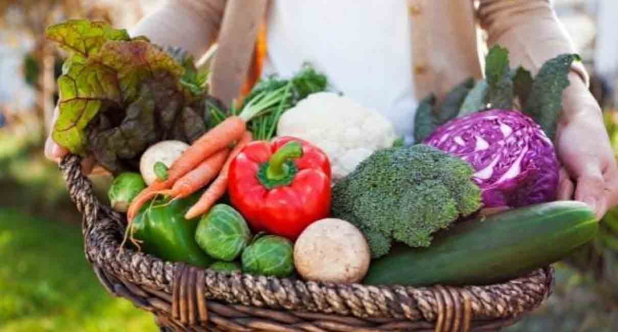 Post-Harvest Physiology